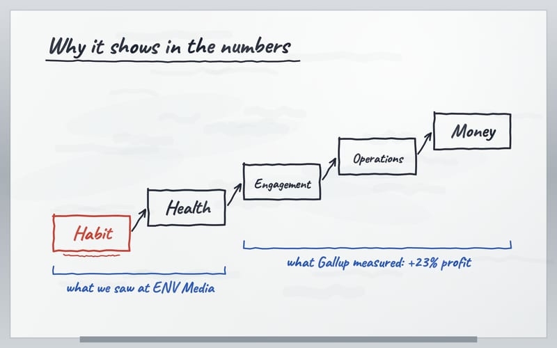 Whiteboard with five hand-drawn boxes in a staircase: habit, health, engagement, operations and money. Under the first two it says what we saw at ENV Media, under the last three what Gallup measured: +23% profit.